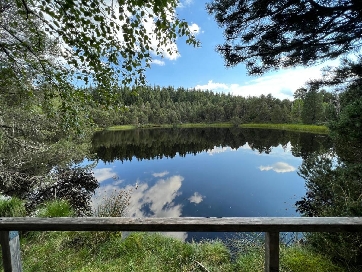 Apartment Annis Panoramablick Pool Sauna Tennis Schonach im Schwarzwald Bagian luar foto