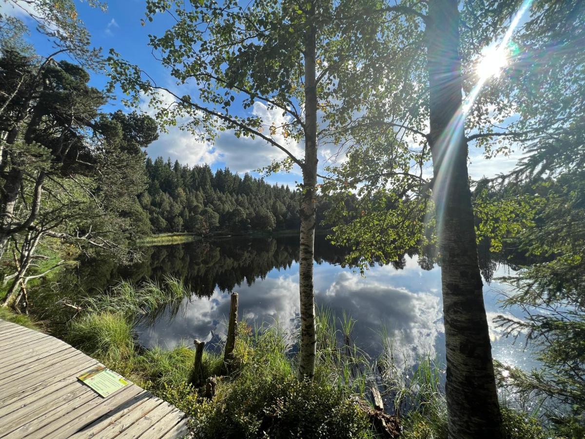 Apartment Annis Panoramablick Pool Sauna Tennis Schonach im Schwarzwald Bagian luar foto