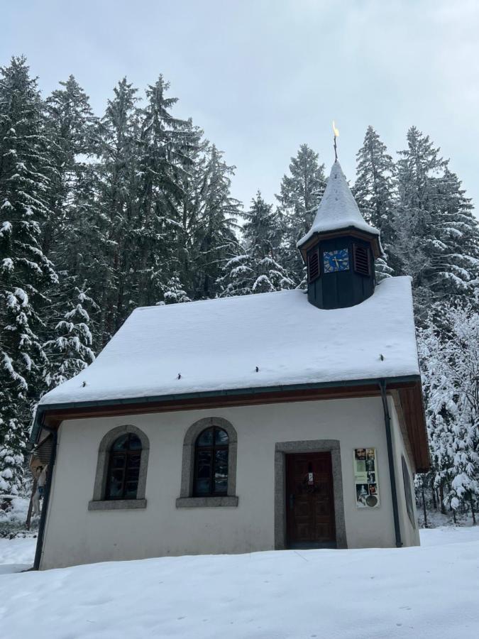Apartment Annis Panoramablick Pool Sauna Tennis Schonach im Schwarzwald Bagian luar foto