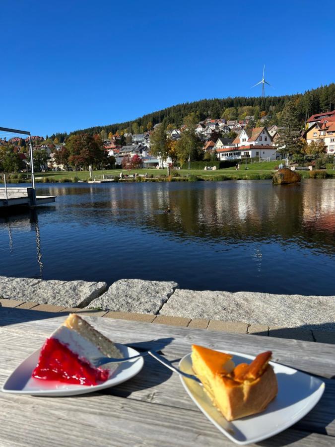 Apartment Annis Panoramablick Pool Sauna Tennis Schonach im Schwarzwald Bagian luar foto