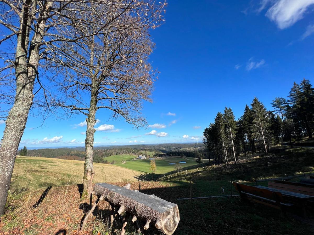 Apartment Annis Panoramablick Pool Sauna Tennis Schonach im Schwarzwald Bagian luar foto