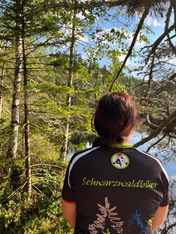 Apartment Annis Panoramablick Pool Sauna Tennis Schonach im Schwarzwald Bagian luar foto